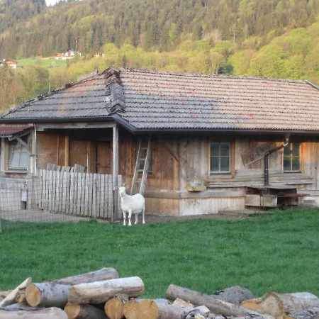 Apartament Piccolo